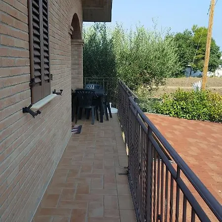 Tulipano ماروتّا